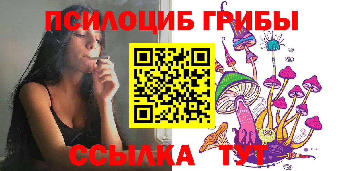 Сегежа  Галлюциногенные грибы Psilocybine cubensis  Вход с VPN 